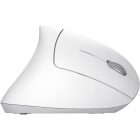 raton-trust-verto-wireless-ergonomic-white-3-1.jpg
